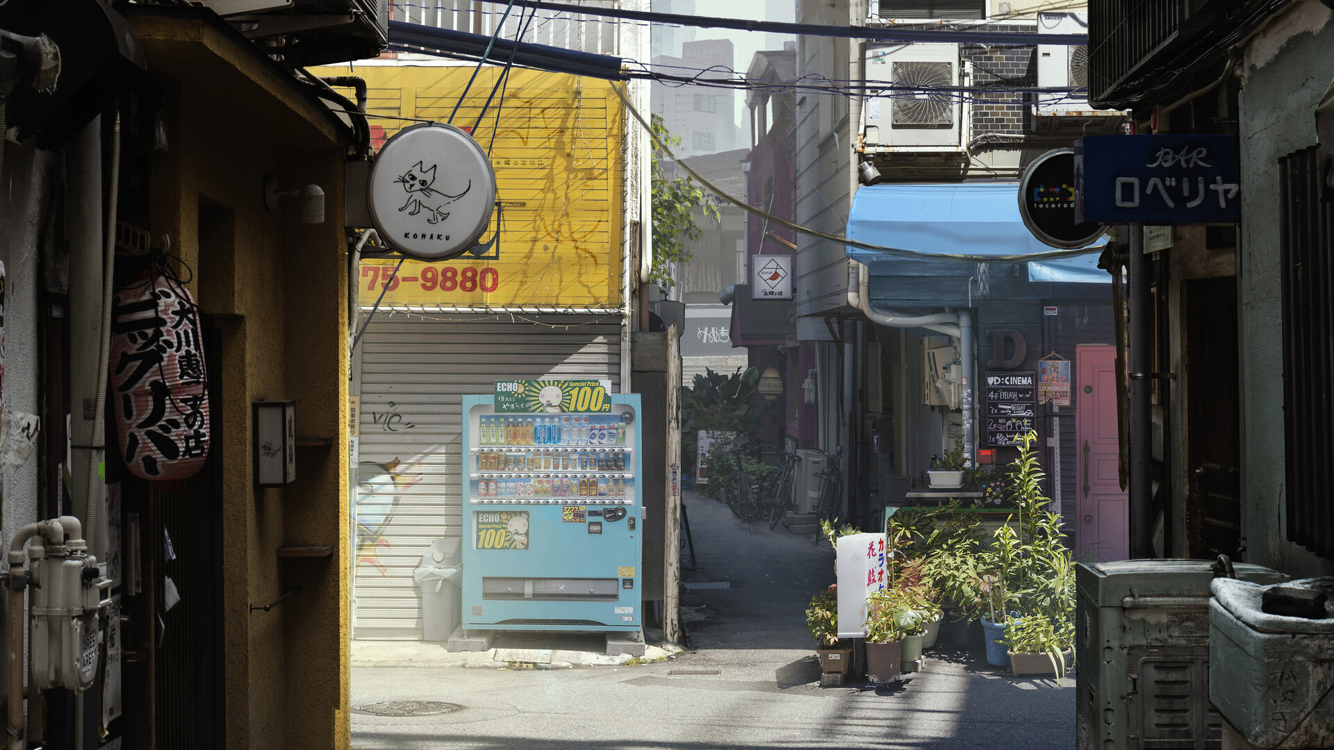 小黑博客 - 免费源码教程分享